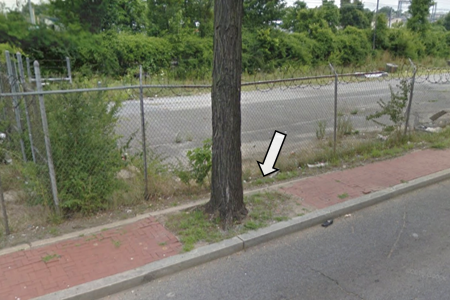 A Street View image of a tree in the middle of the sidewalk