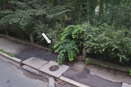 A Street View image of overgrowth onto a sidewalk